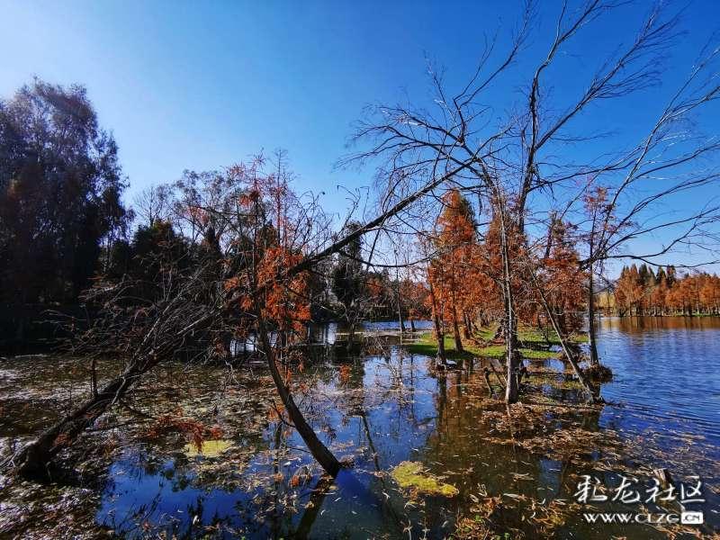 广西柳州市紧盯重点食品加强市场监管